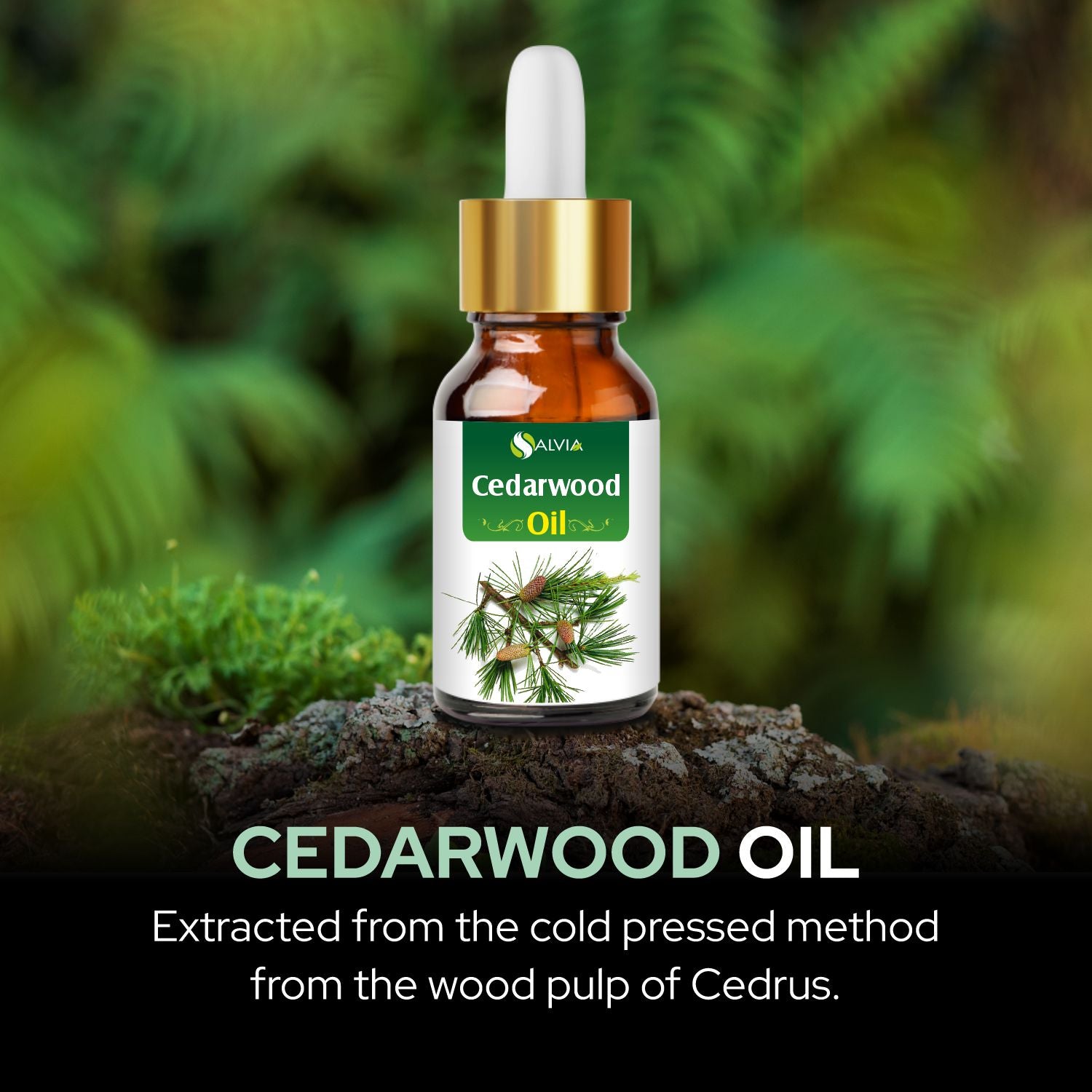 Salvia Natural Essential Oils,Dandruff,Greasy Oil,Anti Fungal,Anti-fungal Oil,Oil for Greasy Hair Cedarwood Texas Oil Salvia Natural Essential Oils,Dandruff,Greasy Oil,Anti Fungal,Anti-fungal Oil,Oil for Greasy Hair Cedarwood Texas Oil